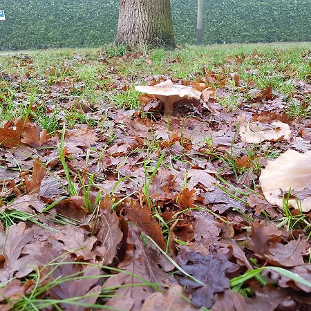 Frühstückspension Aan De Beek Arcen