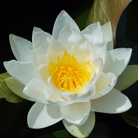 Aan De Beek ベッド・アンド・ブレックファスト