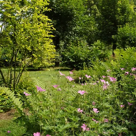 Bed & Breakfast Aan De Beek *