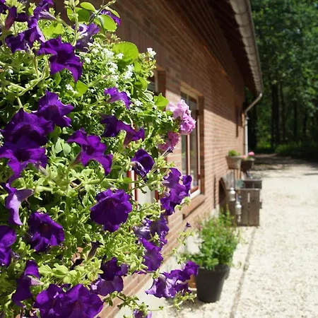 Aan De Beek Отель типа 