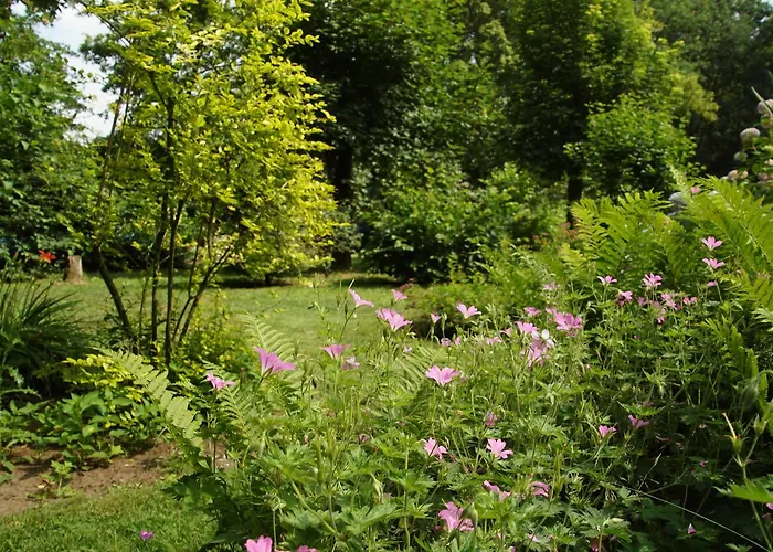 Bed & Breakfast Aan De Beek *