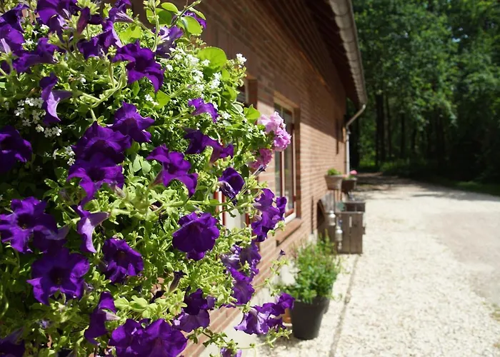 Aan De Beek فندق مبيت وإفطار