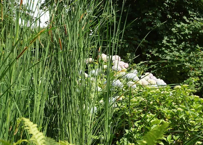 Aan De Beek * آرسين