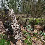 Bed & Breakfast Aan De Beek