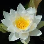 Aan De Beek Bed & Breakfast