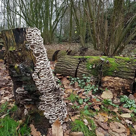 Bed & Breakfast Aan De Beek