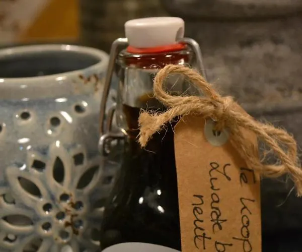 Oda ve Kahvaltı Aan De Beek