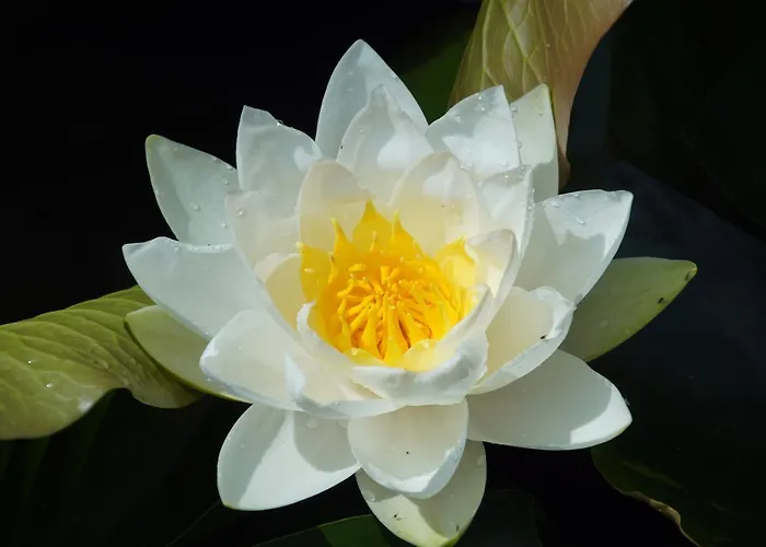 Aan De Beek Oda ve Kahvaltı